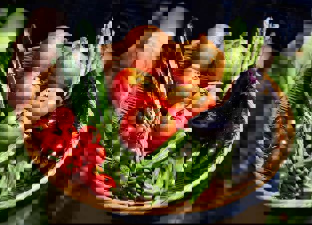 Adobestock 621173627